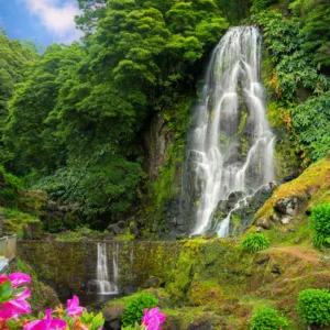 São Miguel, l’échappée sauvage des Açores